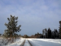 Winter Süd Estland